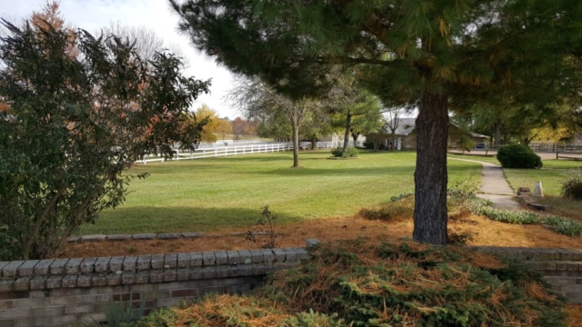 View towards the small barn