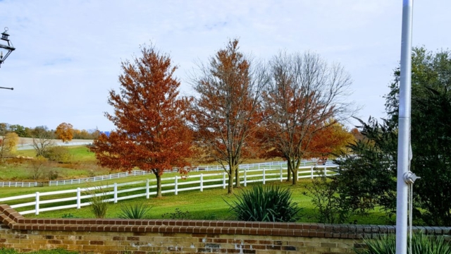 Enjoying the fall foliage