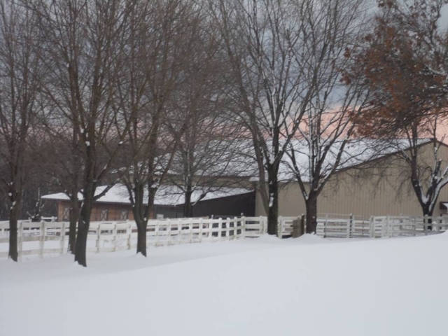 Snow time at the farm