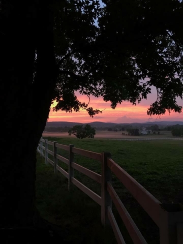 One of the many gorgeous sunsets seen at TLEC