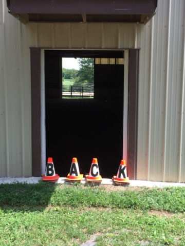 "BACK" Peeking through indoor arena