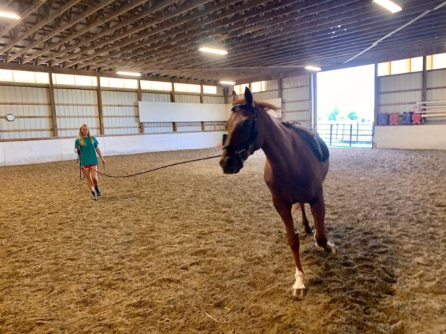 Britney working with Sky