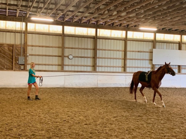 Britney lunging Sky