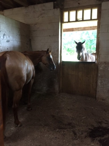 Did you hear the news?  Chrome and Toby