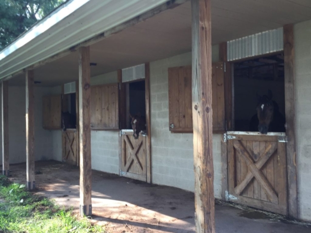 Ok, any time now....Chrome, Toby, and Sparky